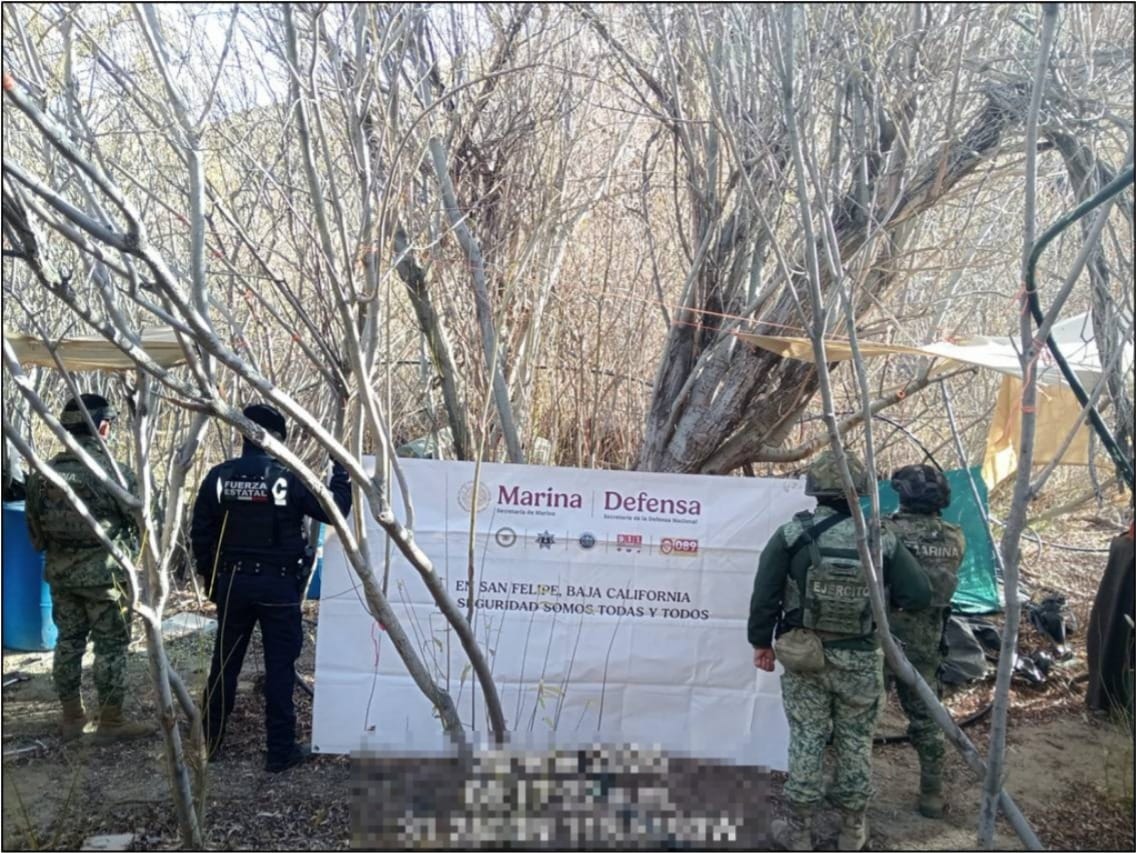 Elementos de la Marina y de seguridad en BC inhabilitan un laboratorio clandestino en Baja California