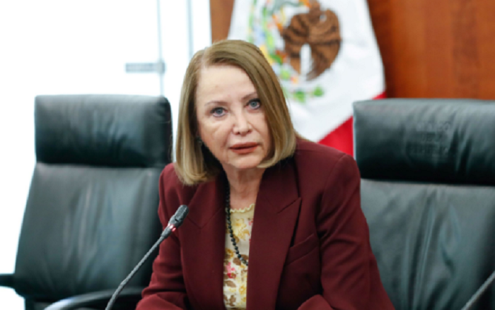 Reforma electoral es un compromiso con la sociedad para acabar con los privilegios: Laura Itzel Castillo