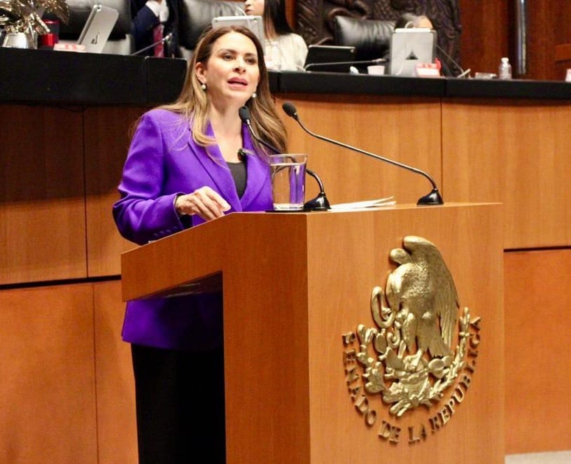 La Reforma a pensiones no debe usarse para venganzas políticas: senadora Carolina Viggiano