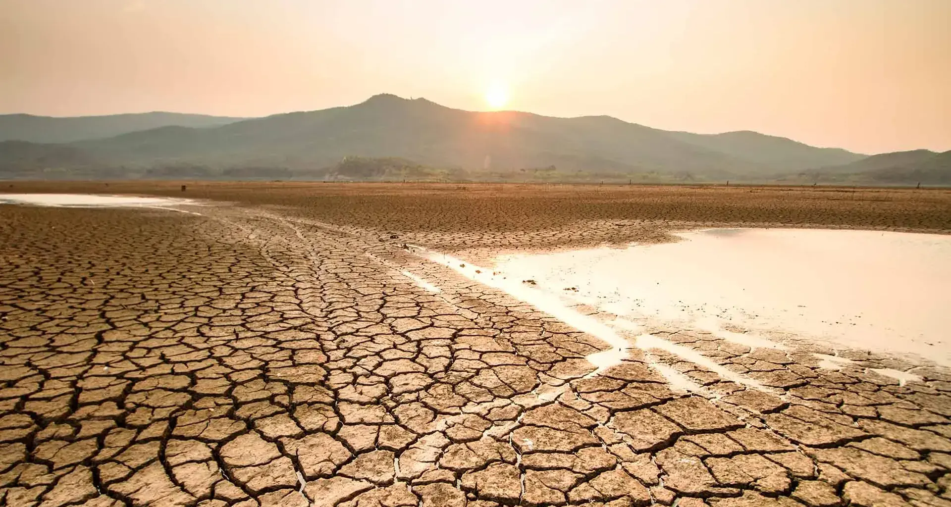 Busca senador Colosio mejorar prevención y mitigación de sequías en México