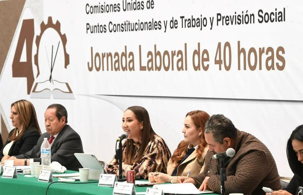 El problema no es reducir la jornada a 40 horas semanales; el problema, es hacerlo mal y con mentiras, señaló la diputada Noemí Luna