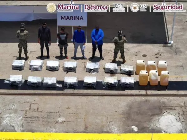 Aseguran fuerzas de seguridad más de media tonelada de cocaína en Oaxaca