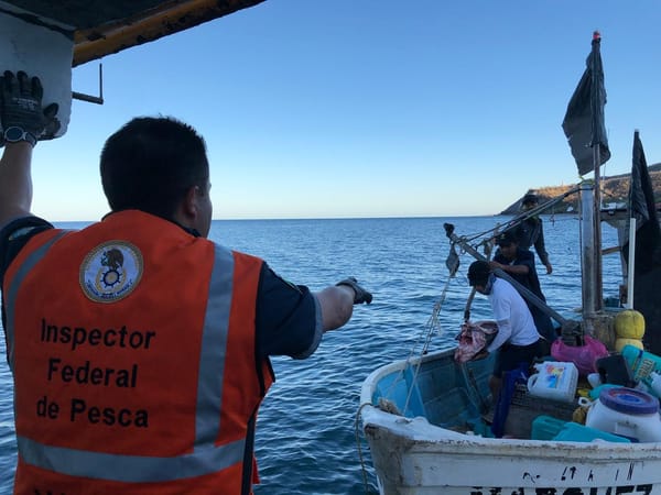 Semar y CONAPESCA, retiene a embarcación menor, dentro del Área Natural Protegida Islas Marías Isla María Madre, Nayarit.