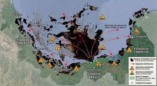 Greenpeace: El derrame petrolero en el Golfo de México se sigue extendiendo