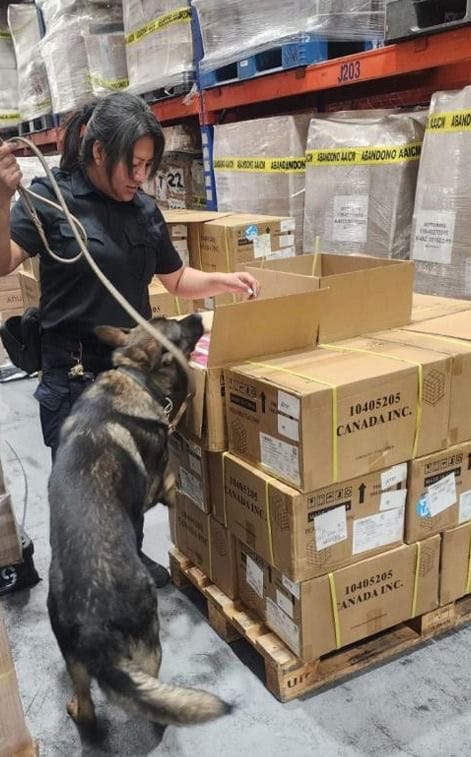 Asegura Marina contrabando de 22 mil cigarrillos electrónicos