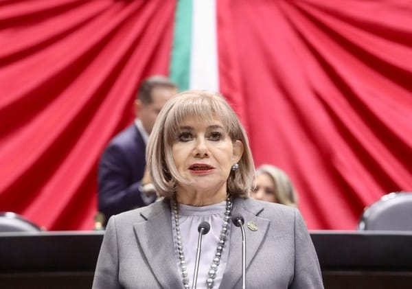 Propone diputada del PRI reforma para garantizar vivienda digna a adultos mayores