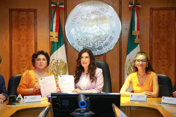 Presentan diputados de MC su propuesta de reforma electoral y adelantan que buscará para ella el apoyo de todos los partidos