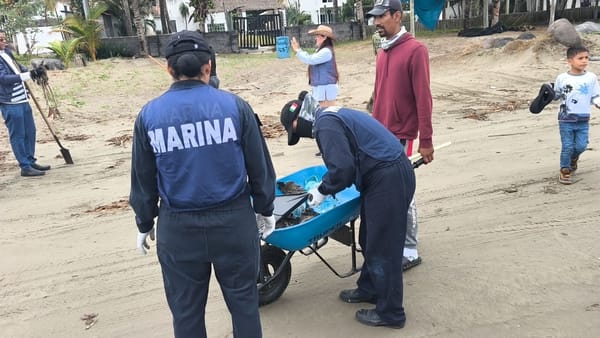 Se han recolectado 94.7 toneladas de residuos impregnados con hidrocarburo en playas de Veracruz y Tabasco, con un avance general de limpieza del 88%.