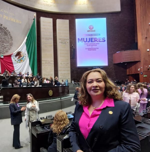 Persiste la violencia de género contra mujeres en todos los ámbitos, afirmó la diputada Mónica Sandoval